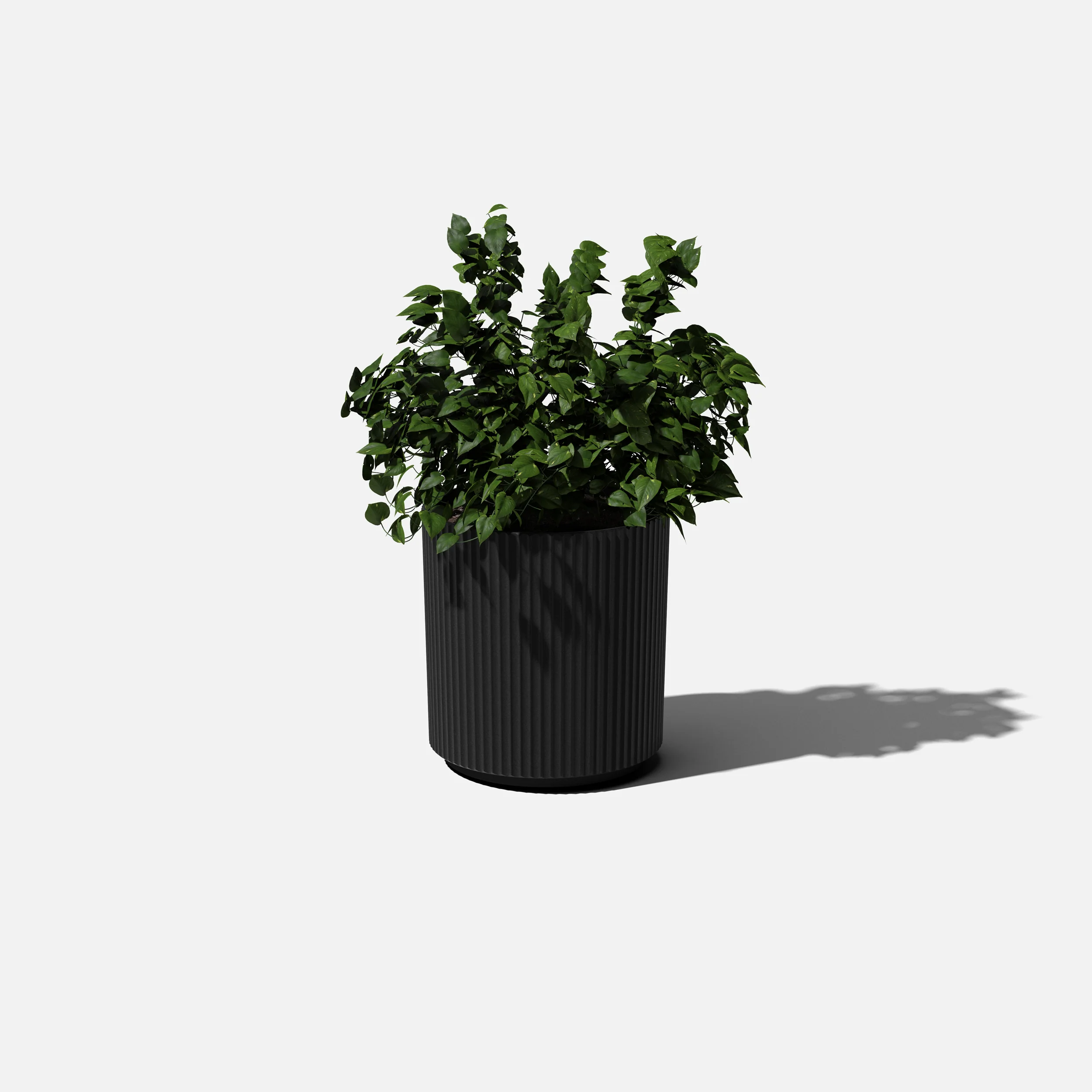 Product image 102