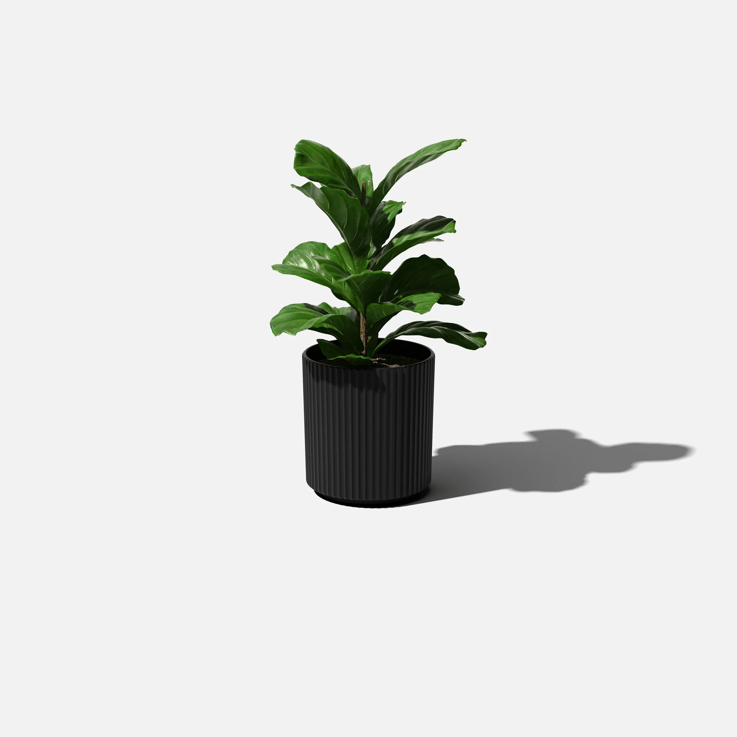 Product image 122