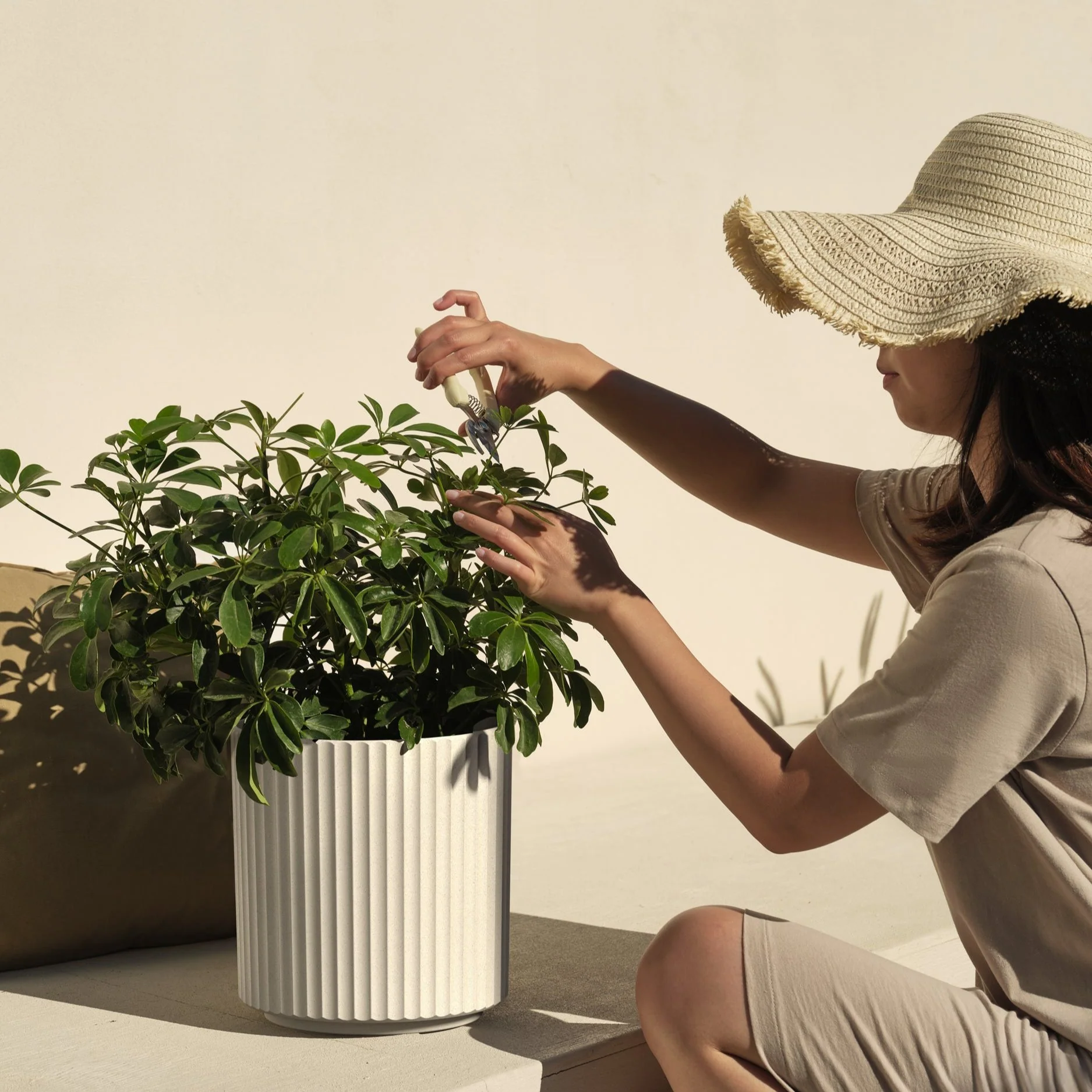 Product image 162