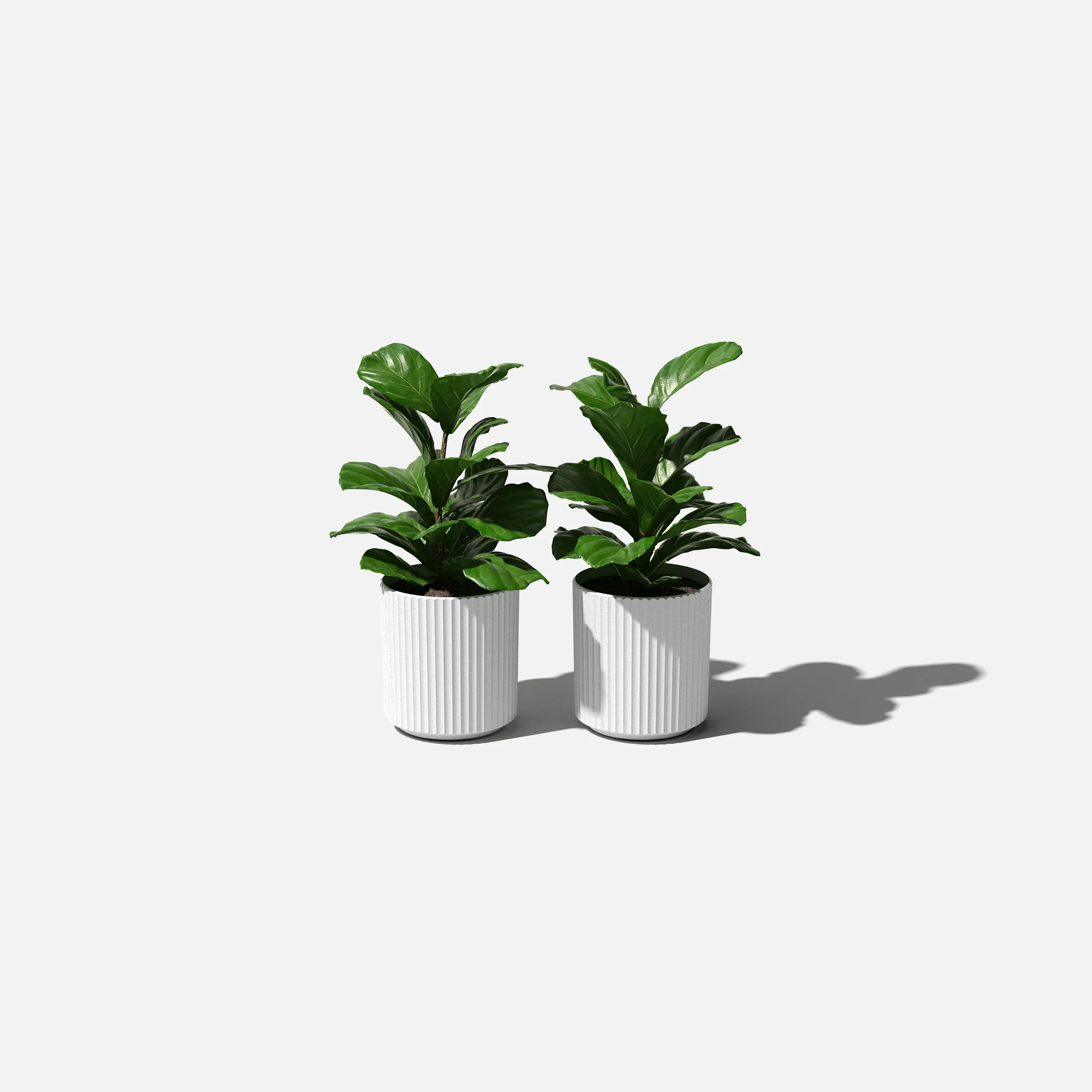 Product image 183