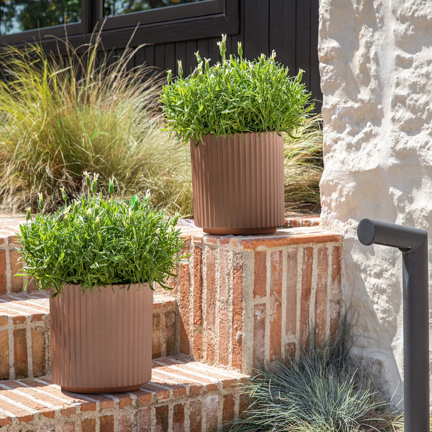 Product image 202