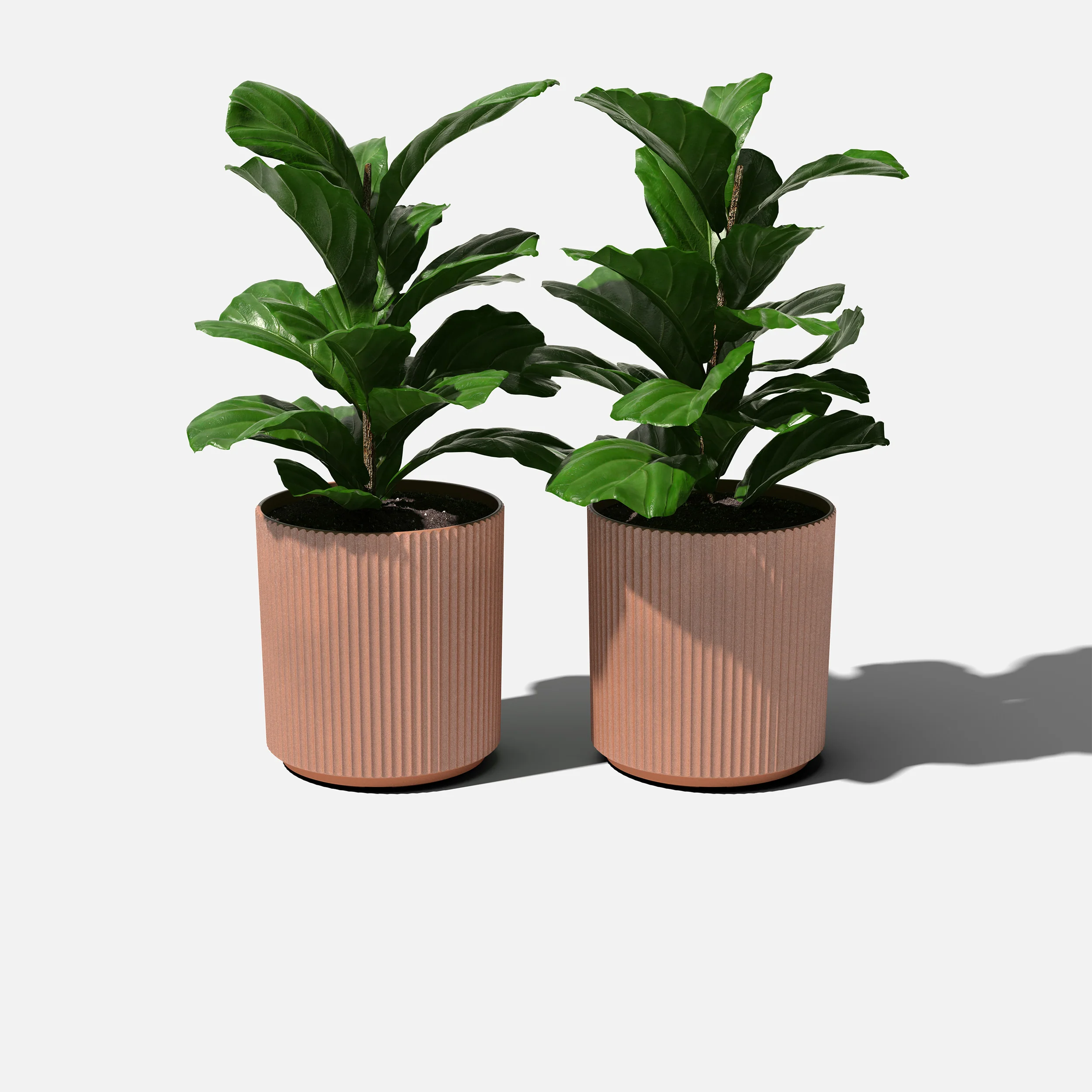 Product image 215