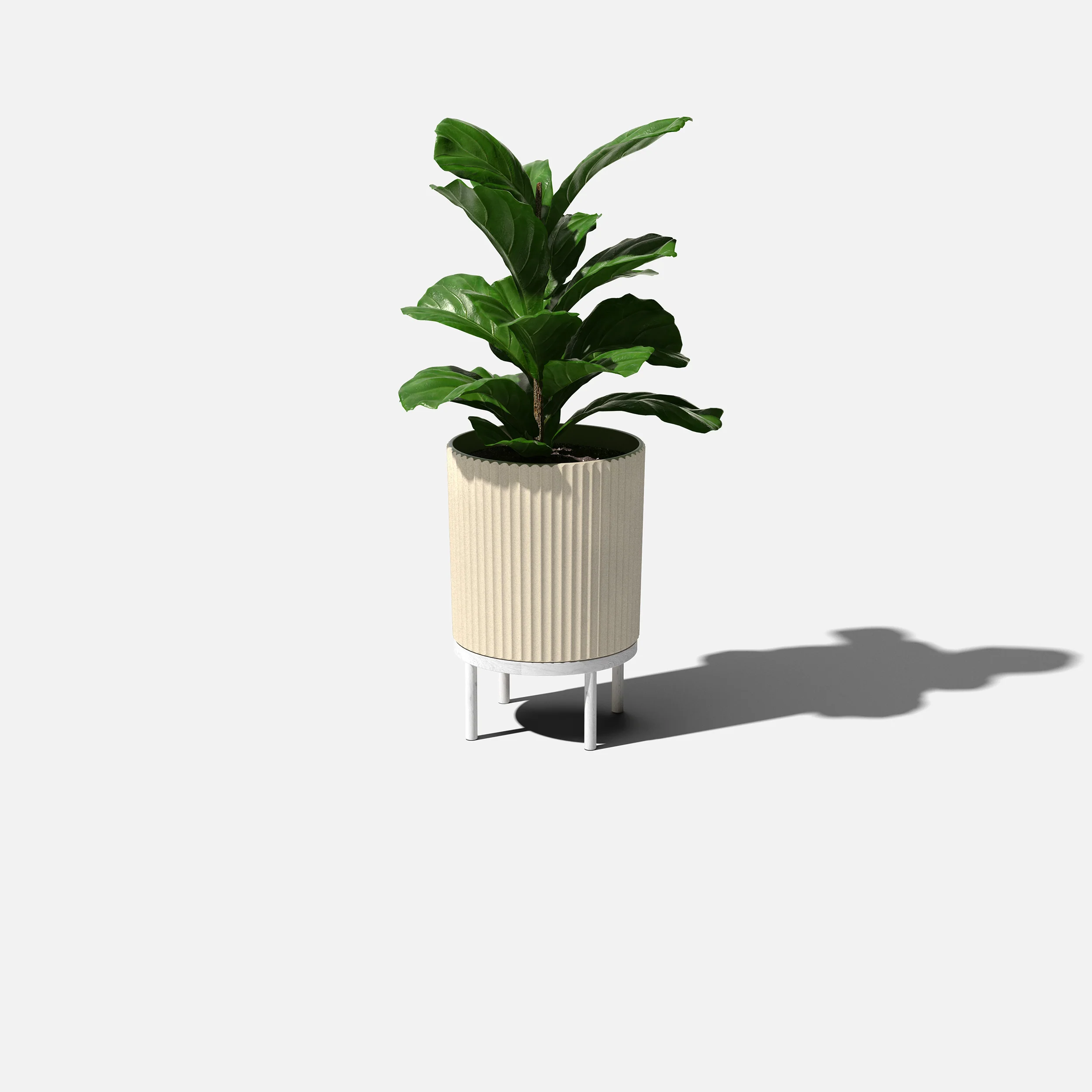 Product image 145