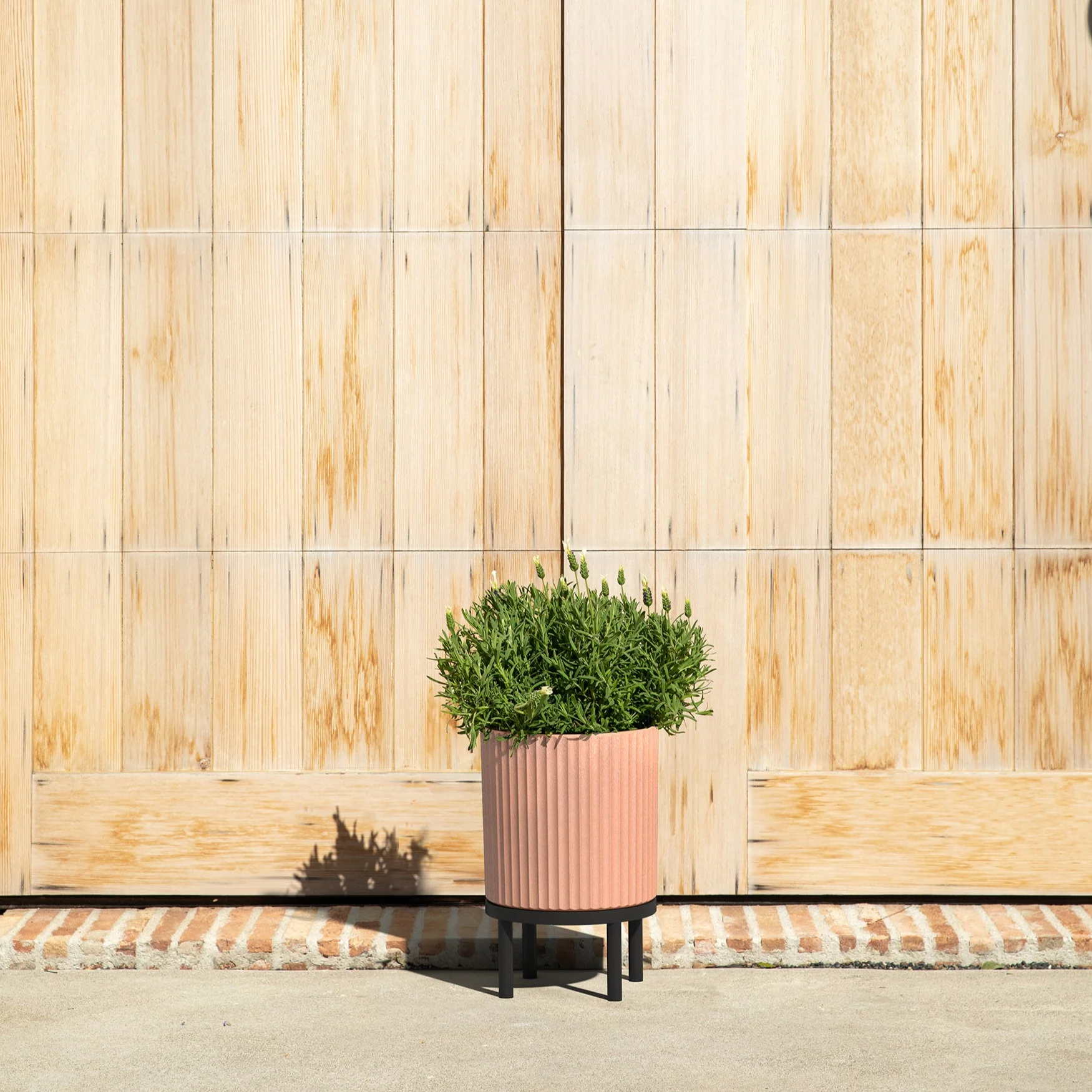 Product image 177
