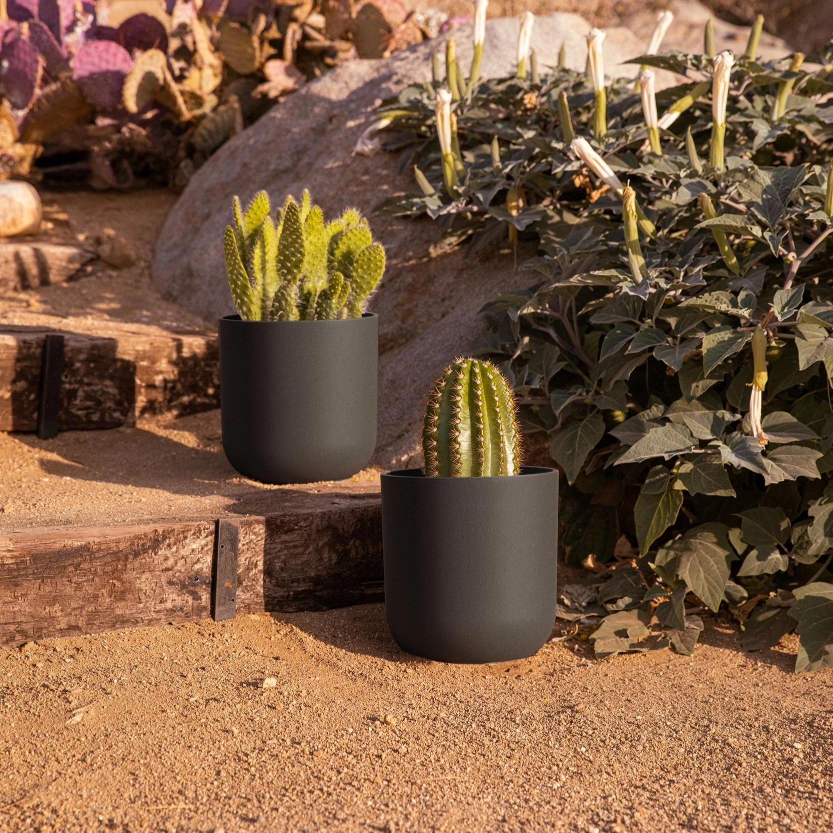 Product image 103