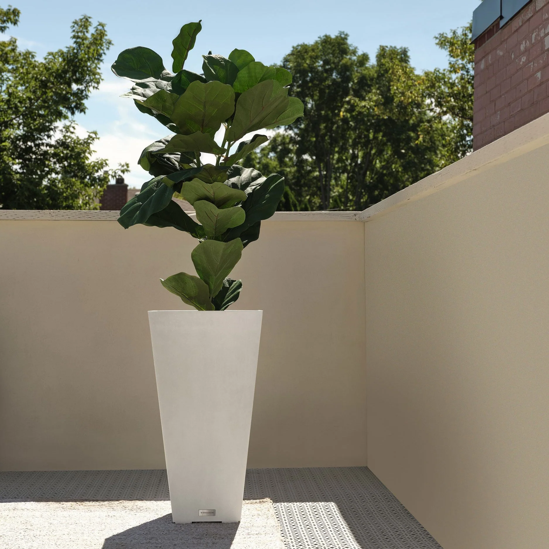 Product image 145